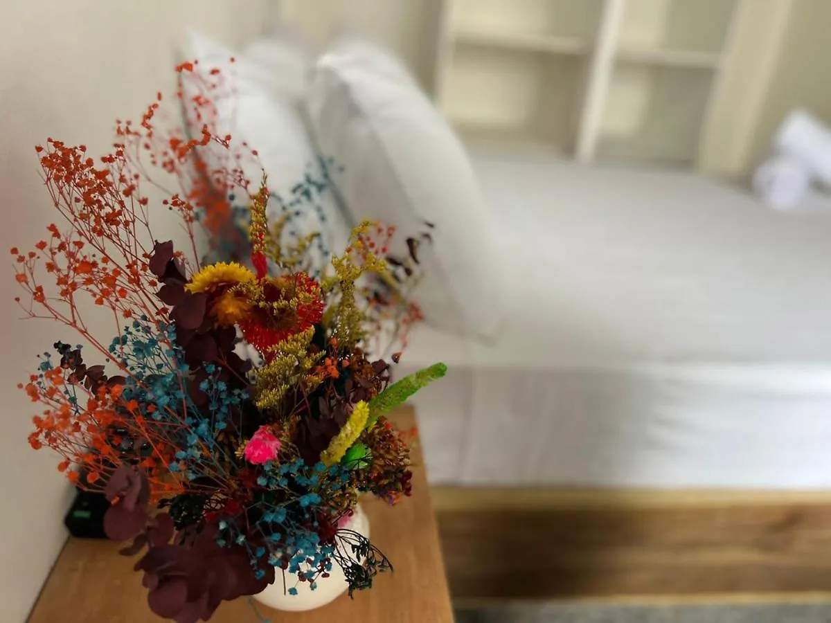 Guest house Casa Guadalupe Laureles Hotel Medellin